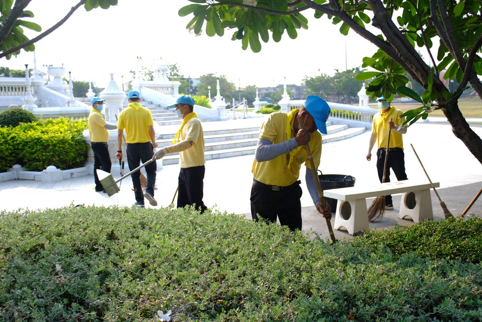 เพชรมีน3