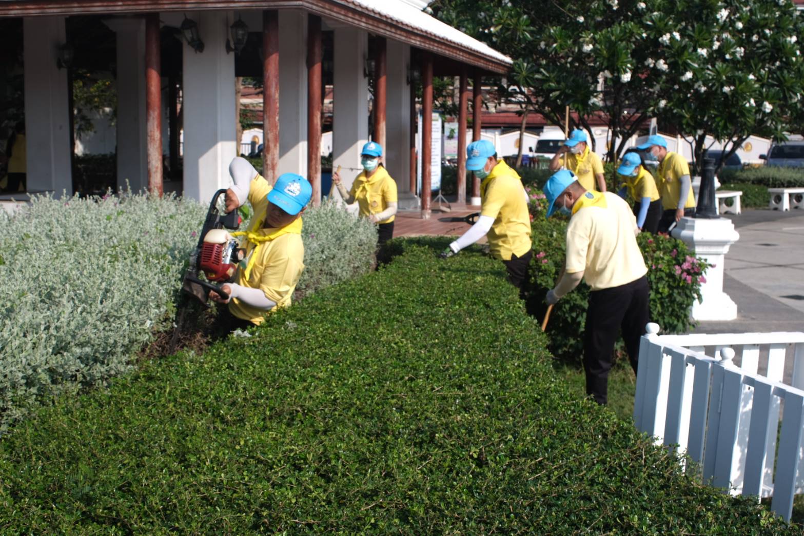 เพชรมีน4